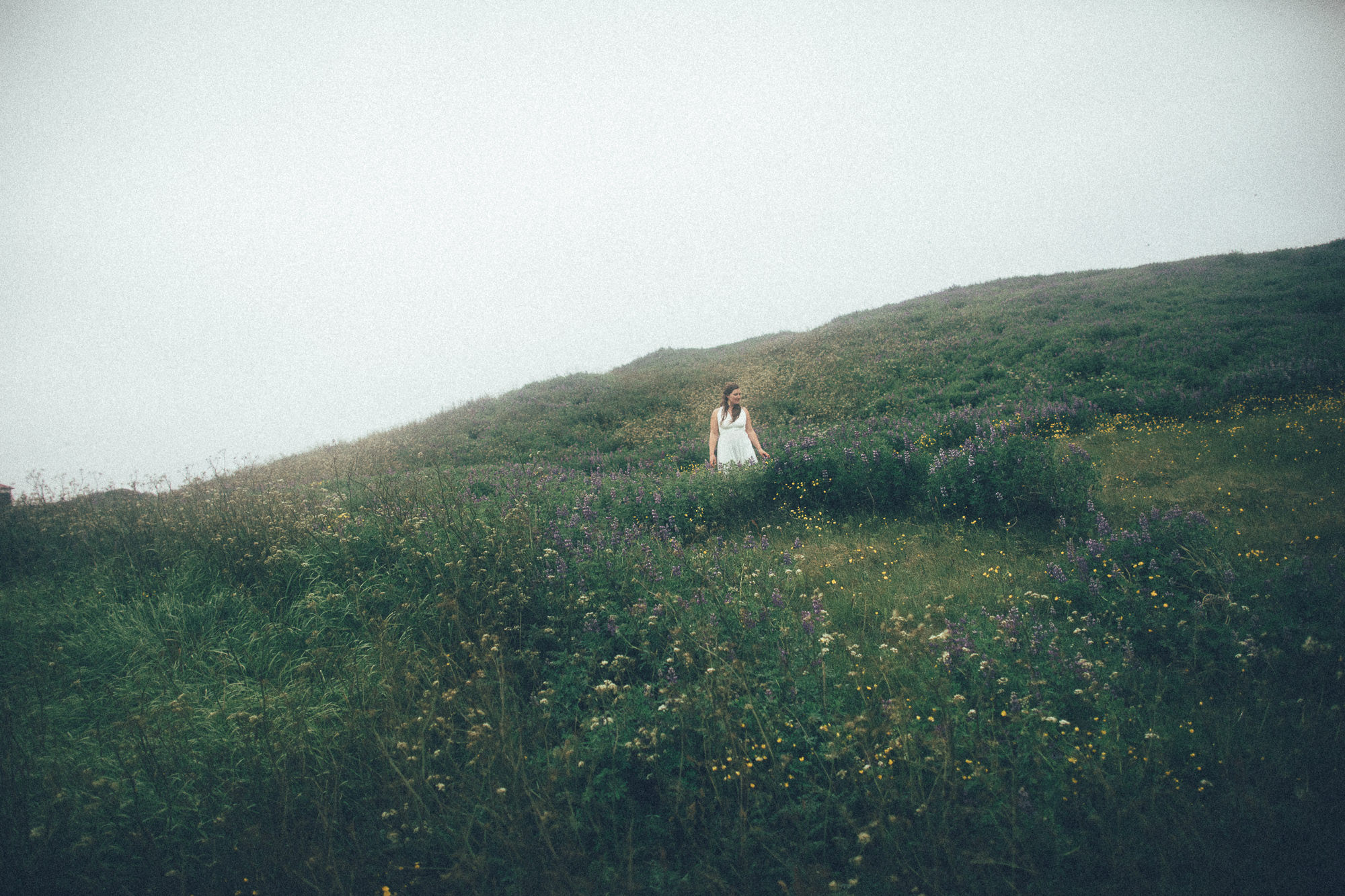 Export x3 5D4 9118 Victoria @ Reykanesviti 4